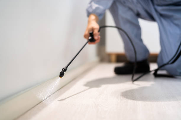Licensed Pest Control service in Huntingdon, PA - Show Me Pest Control