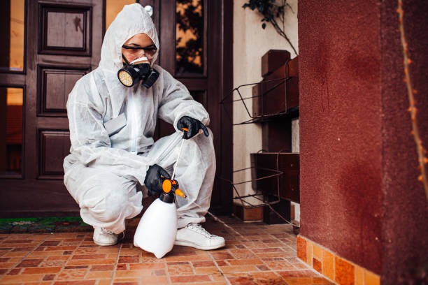 Reliable Wasp Removal contractor in Huntingdon, PA by Show Me Pest Control
